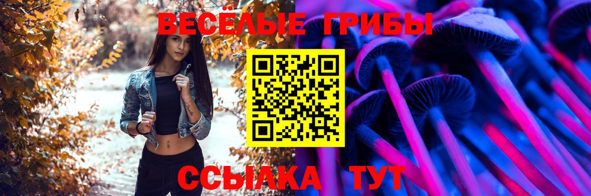 Надым  закладка  Вход с VPN  Псилоцибиновые грибы MAGIC MUSHROOMS  Псилоцибиновые грибы GOLDEN TEACHER 
