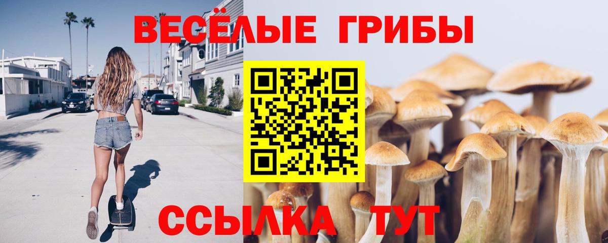 Псилоцибиновые грибы ЛСД Надым